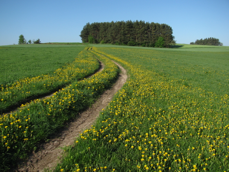 Noordoost Polen wandelreis lang biologische boeren