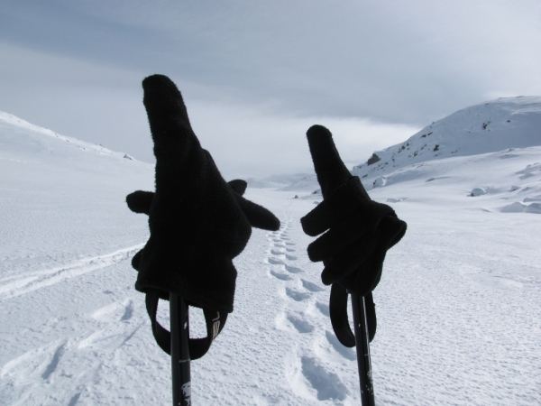Noorwegen, sneeuwwandelreis Hardangervidda