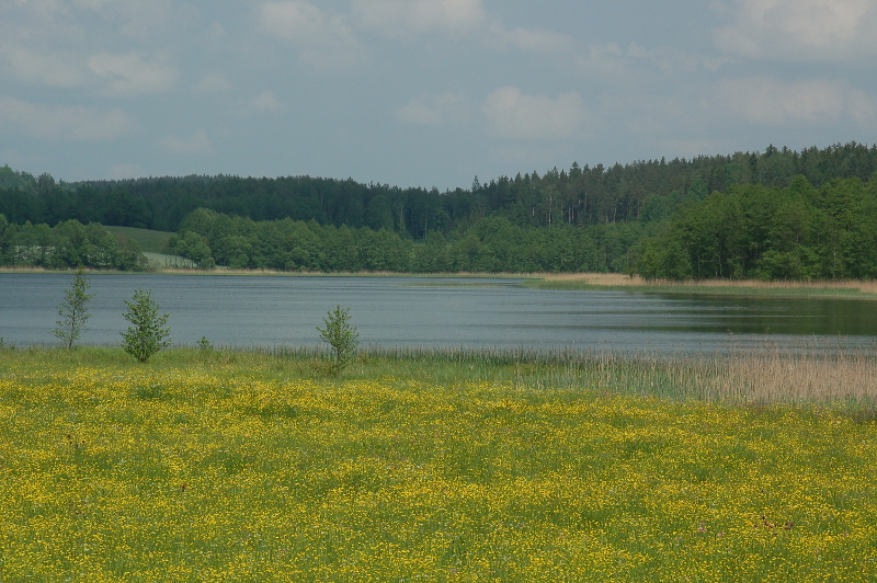 Noordoost Polen, Suwalki Landschapspark, wandelreis