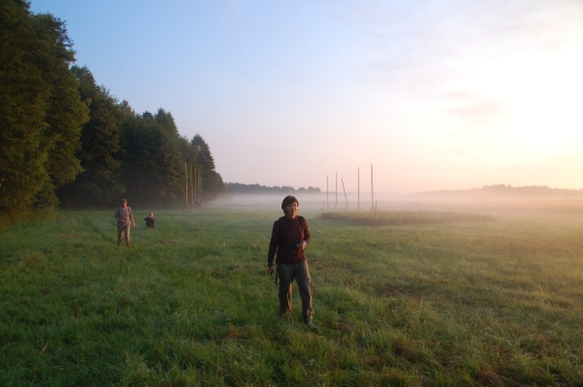 's Ochtends bij het oerbos van Bialowieza Agro Natura Noordoost Polen specialist