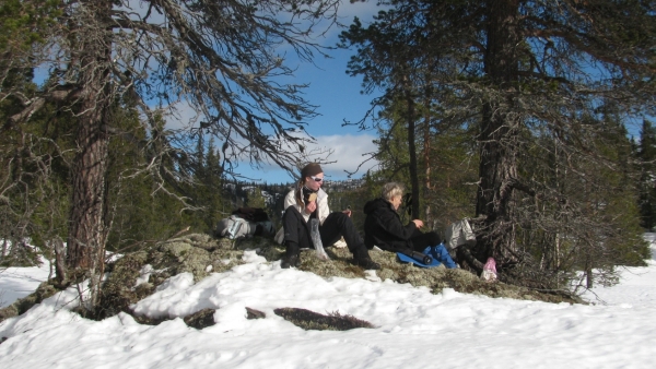 Noorwegen, Rauland, sneeuwwandelreis