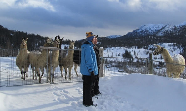 Noorwegen, sneeuwwandelreis Telemark, sneeuwwandelen Rauland