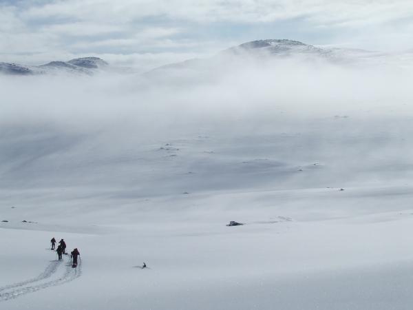 Noorwegen, hardangervidda, Langlaufen, trektocht, winterreis