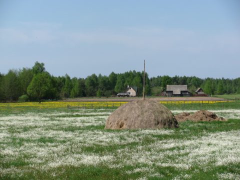 Platteland in Noordoost Polen Agro Natura reizen
