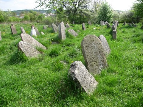 Joodse begraafplaats Noordoost Polen, wandelreis cultuurreis Agro Natura