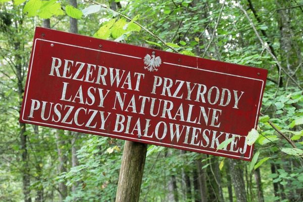 Bij het oerbos van Bialowieza, Agro Natura, Natuurreizen, vogelreizen