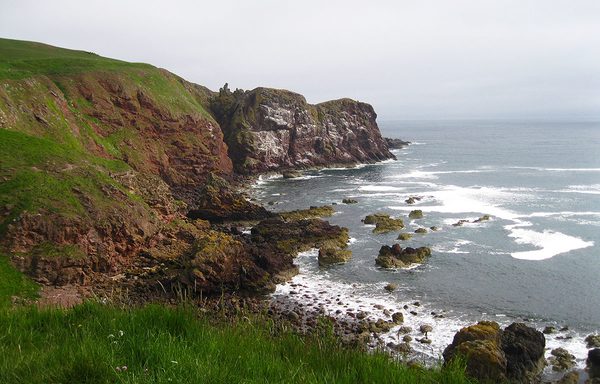 Engeland-Schotland, vogelreis Farne Islands, Bass Rock, Cheviot Hills, Abb's head