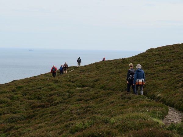 Schotland - wandelreis Schottish Borders, nabij Abb's Head