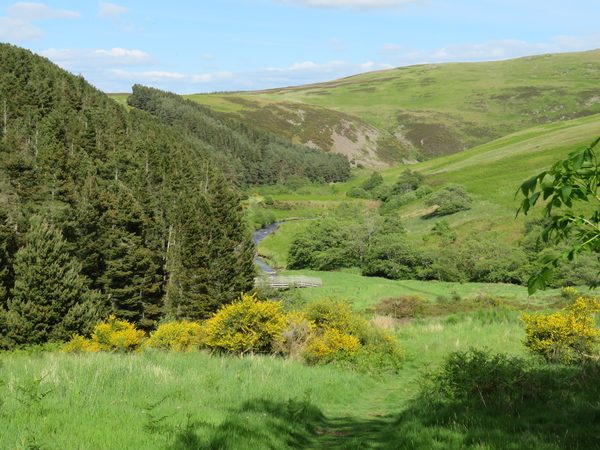 Schotland-Engeland, wandelreis Scottish Borders, the Cuthbert's way
