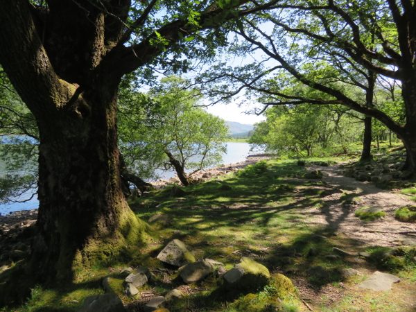 engeland coast to coast walk, wandelreis door het Lake District