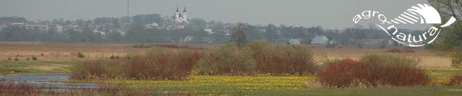 Noordoost Polen Biebrzamoerassen bij Goniadz Agro Natura
