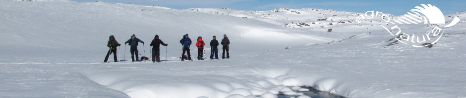 Noorwegen, Hardangervidda, sneeuwwandelen, sneeuwwandelreis