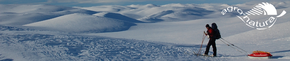 Noorwegen Hardangervidda sneeuwwandelen langlaufen