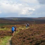 Wandelen over de uitgestrekte North York Moors