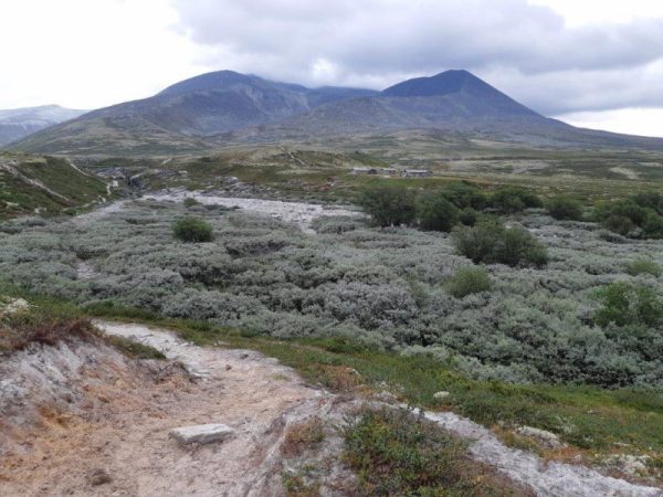 Op weg naar de Peer Gynt hytte